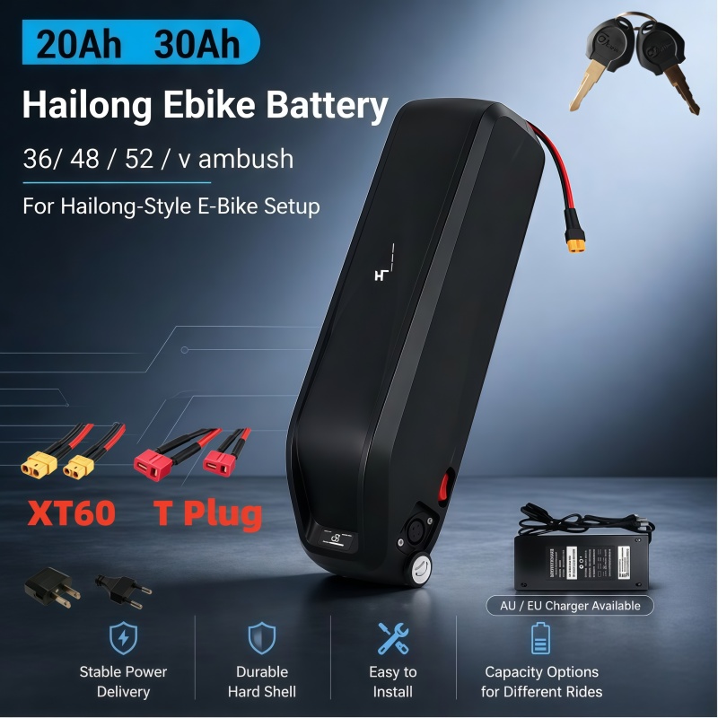 Wszechstronna bateria Hailong, – Ebike Battery 48V 20Ah Hailong recenzja i cena